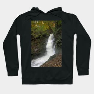 Dolgoch Falls Gwynedd Hoodie